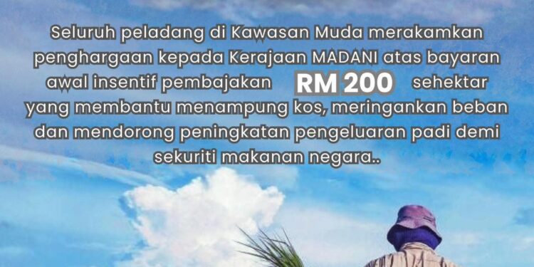 Peladang MADA sambut baik pengumuman Kerajaan insentif pembajakan padi RM200