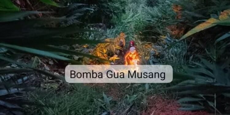 Dua hari hilang, live location terakhir bongkar penemuan lelaki 60 tahun ditemui maut